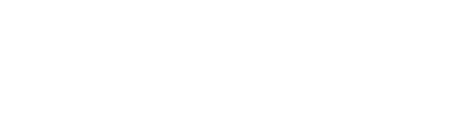 Logo-Kingboss