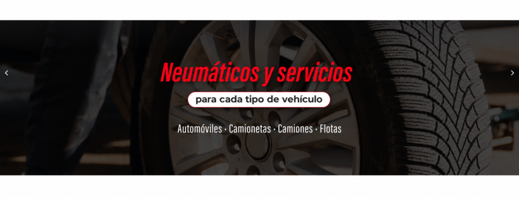 neumaticos